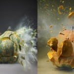 exploding Vegetables by Martin Klimas