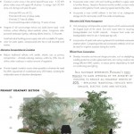 2010ASLA景观专业奖{28}规划与分析荣誉奖：伊斯拉帕伦克 / Design Workshop