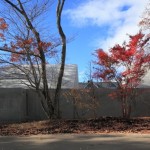 那须之屋，日本 / Kazunori Fujimoto