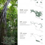 2010ASLA景观专业奖{28}规划与分析荣誉奖：伊斯拉帕伦克 / Design Workshop