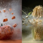 exploding Vegetables by Martin Klimas