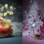 exploding Vegetables by Martin Klimas