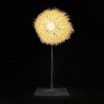 Luciferase by NACHO CARBONELL