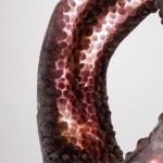 Luciferase by NACHO CARBONELL