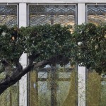 BMCE银行，摩洛哥 / Foster + Partners