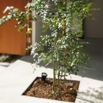 “内即是外”独立住宅，日本 / Takeshi Hosaka Architects