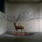 Myeongbeom kim的艺术作品