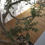 圣玛利亚宅 / Hierve Diseñiera