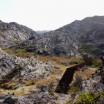 CAP DE CREUS CAPE的图德拉修复工程(CLUB MED)，西班牙 / EMF Landscape Architecture