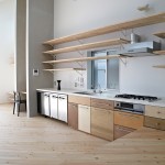 冈山住宅，日本 / Torafu Architects