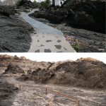 CAP DE CREUS CAPE的图德拉修复工程(CLUB MED)，西班牙 / EMF Landscape Architecture