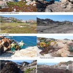 CAP DE CREUS CAPE的图德拉修复工程(CLUB MED)，西班牙 / EMF Landscape Architecture