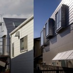 冈山住宅，日本 / Torafu Architects