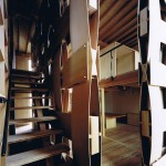 木盒住宅，日本 / Tadashi Yoshimura Architects