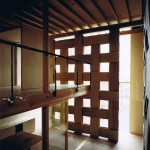 木盒住宅，日本 / Tadashi Yoshimura Architects