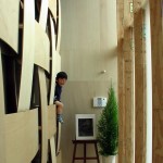木盒住宅，日本 / Tadashi Yoshimura Architects