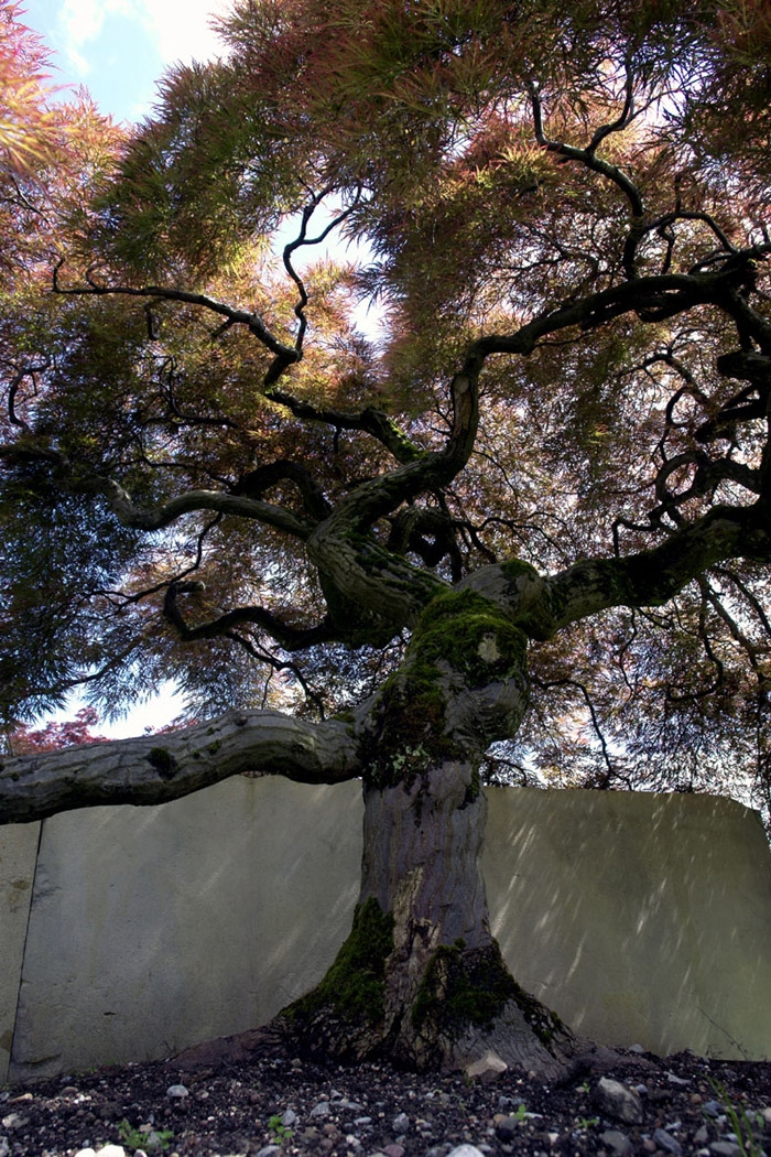 /wp-content/uploads/2011/07/aa689c7c3f0887eb49e5c69b43f56ce2.jpg