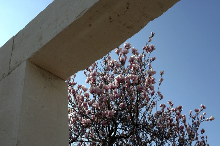 /wp-content/uploads/2011/07/d132beb41ef3175871b6bbe03f93a7df.jpg