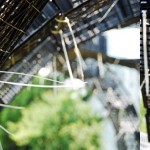 自由生长的巴比伦塔 / 上海交通大学