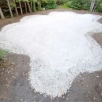 Fleur de Sel降雪的花园 / Jardins de metis reford Gardens
