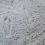 Fleur de Sel降雪的花园 / Jardins de metis reford Gardens