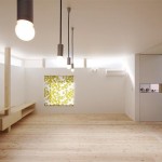 Kokuban住宅，日本 / Hari Architects