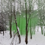 “形”系列作品 / Filippo Minelli