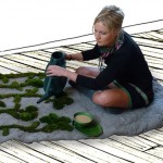 植物毯子/ Pia Wustenburg