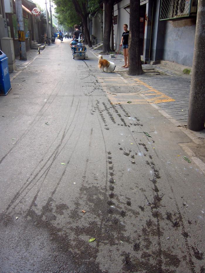 /wp-content/uploads/2011/10/a1e4cda02584eff15fad08b4e0b46426.jpg