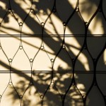 惠灵顿动物园，新西兰 / Assembly Architects Limited