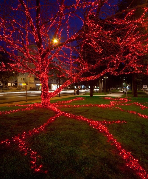 /wp-content/uploads/2011/12/05716e18d624d87287cb1d4f85f5469b.jpg