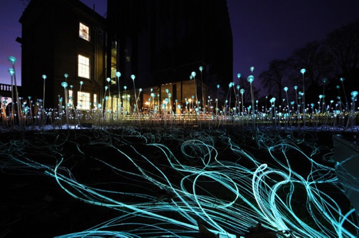 萤之光 / bruce munro