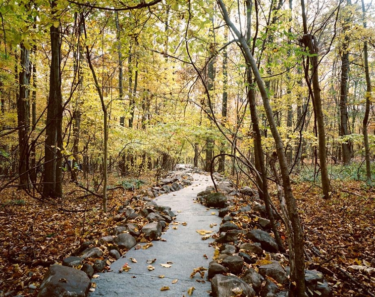 /wp-content/uploads/2011/12/f57aa337bf5ae740ad06b2f7a11cdfde.jpg