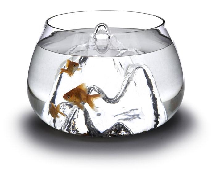/wp-content/uploads/2012/01/a31622ba5ccf0de6a9066779fed6b08e.jpg