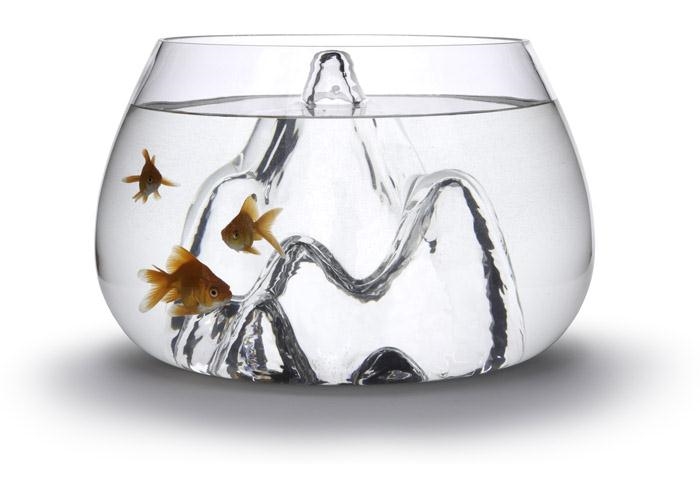 /wp-content/uploads/2012/01/c4f843e855c3f0bc0a9db473ce16b417.jpg