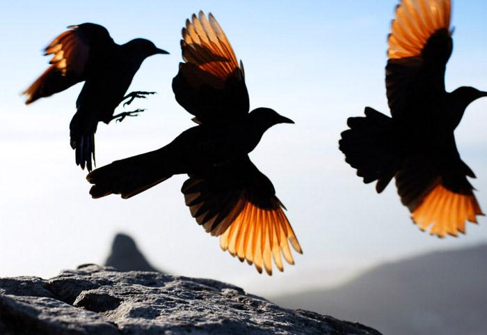 /wp-content/uploads/2012/04/230fe912d37934eb66639bc8fdfafe81.jpg