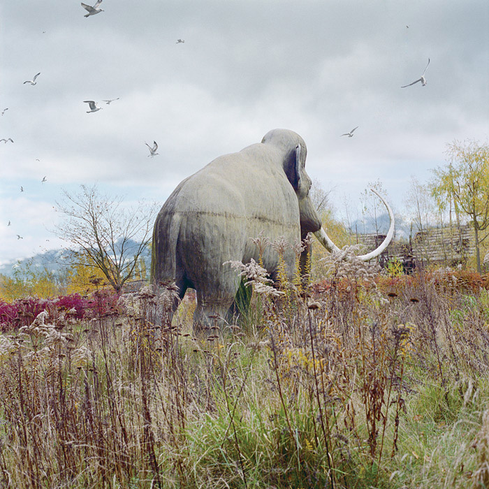 Until the Kingdom Comes by Simen Johan 谷德设计网