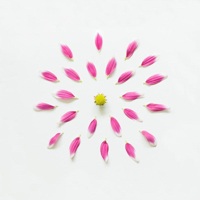 /wp-content/uploads/2012/04/a7e0b6eaa696ff8caec1e6de18a59b2f.jpg