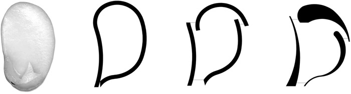 /wp-content/uploads/2012/05/_c_EEzBi-HtlWCN15C2Uk2kxHd_P1tM6yghoYaL0CQ-HLb6M-GK7hxi47t5SD2FKoJKJwe_P-V4ZIBbXFFLipJlzg==.jpg