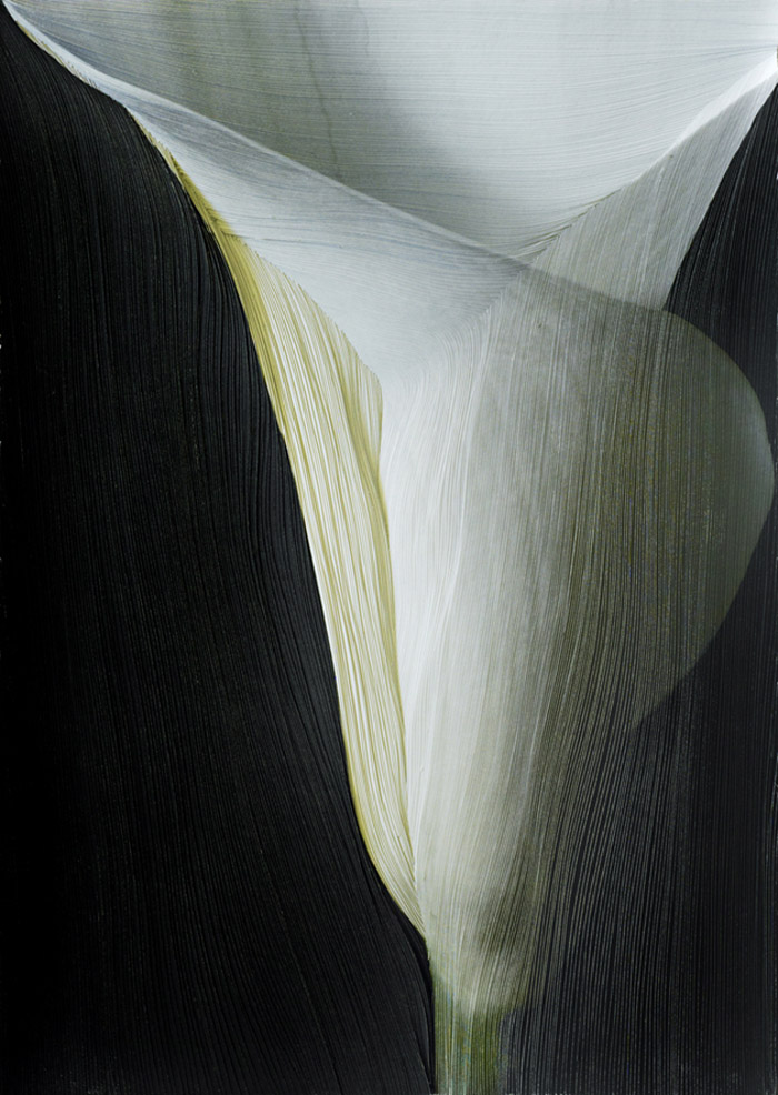 切片艺术 / nerhol