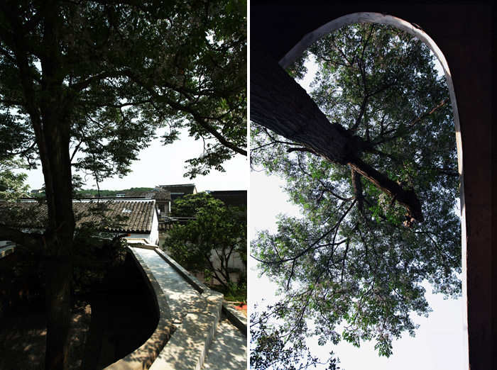 /wp-content/uploads/2012/05/_c__Mi2XrsU17f0Bh0y5jbi89Nq9InsLik2iqjym0g-ajqQEAdRcig94R3DNe2IWIEiXfCd1h5t0s8hbAT3PcdPBh7tOMyXqt9y.jpg