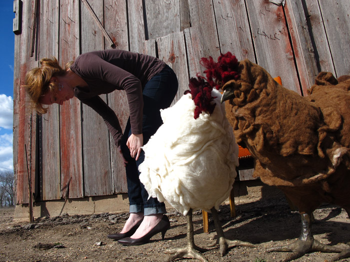 our pet chickens literally never fail to make us smile, so they