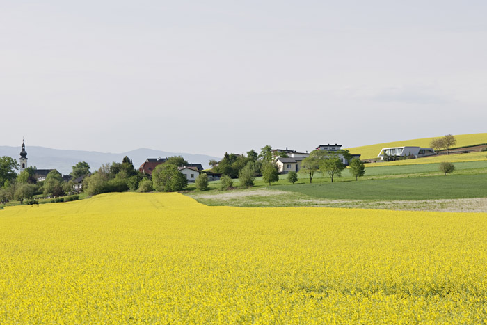 /wp-content/uploads/2012/07/_c_xmExLRKCcMPmt0i9R0vsGUMaB5ZhXOIS82VrFMBSQNSeFx7zCa5d1ez3vRuLPlQ1mzwJeK19BEE3rFrEwqsjRBMKLko5kvVD.jpg