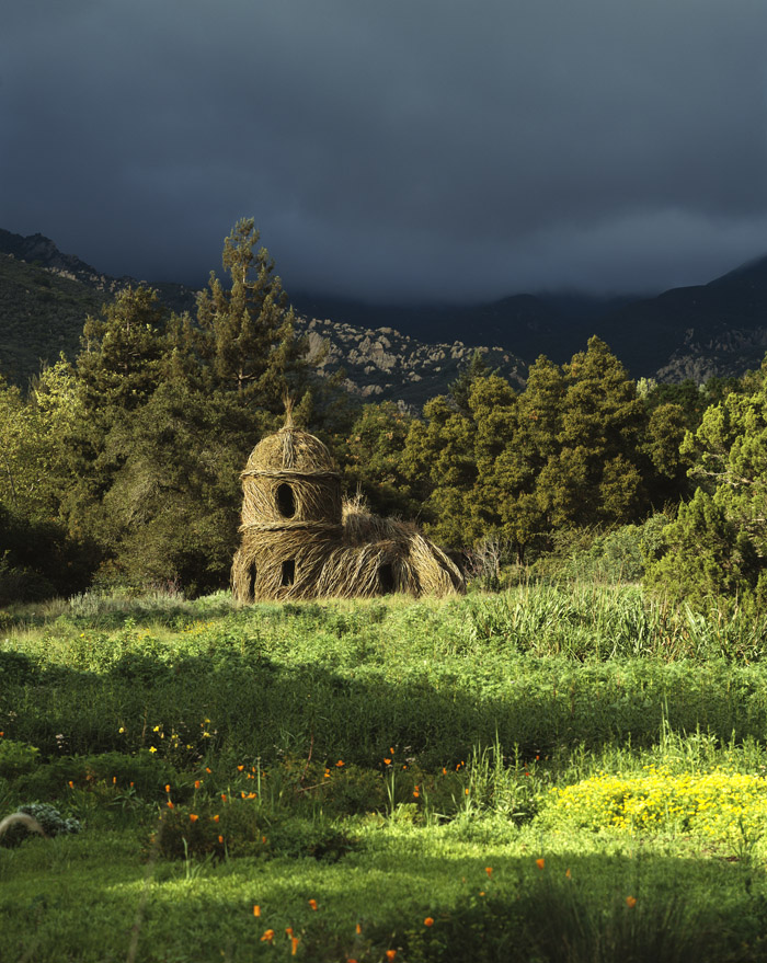 Patrick Dougherty