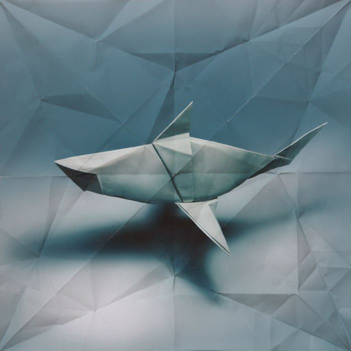 /wp-content/uploads/2012/09/_c_B1yslb2x168vbvmeptcKF4kso-AhaJ5rfwkgruXX0eC6txXZ9B95knaZubquRqykljl23s2eaX7CxefTCQdD_obWWJdC6ArL.jpg