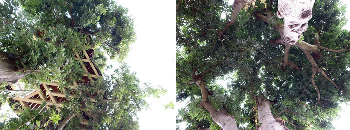 /wp-content/uploads/2012/09/_c_XzaT6Yh7PltySzGbX--J2iR3_7_h7-XG-L35GZGDr3A1qIzGDG-lYOcBbiLnbRCwfyUmsC0AomPdMGGTxux93CBobwunu5CH.jpg
