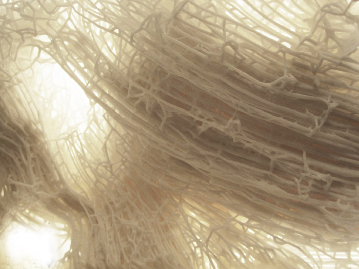 /wp-content/uploads/2012/11/_c_LdUKska_R1hDxJvo03CCIbUDNXqNZa7dftHCOl11reqOoSfFmar34n9apBruJbwcUwgcCLDjrplzraxmTRZvqhCnOVyourQ6.jpg