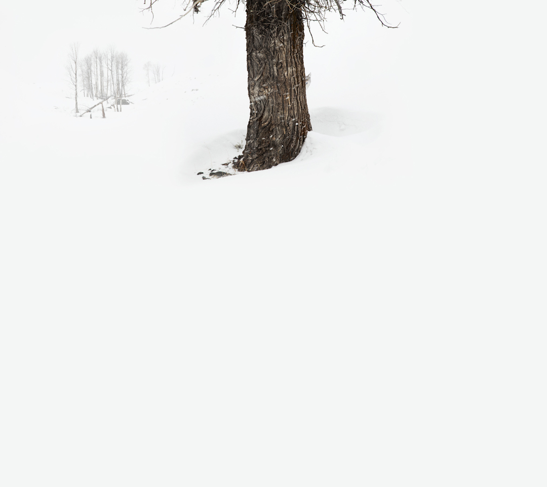 /wp-content/uploads/2013/01/_c_oCruhWbNmXHms-u4OsafH7qbKcIjn2RVkRbsmROlZeF9df5Vfc5CWjrHqn7JbnYgou9BQmQywnxEJxS8Kv2Y0mKAXd8Mt5UH.jpg