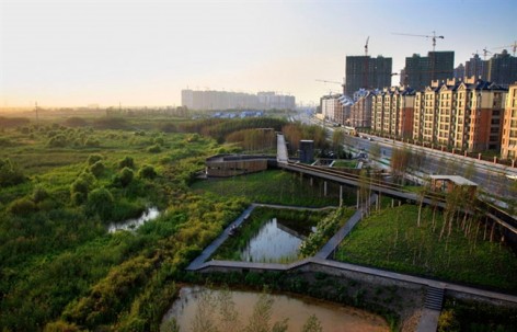 2012ASLA专业奖 通用设计杰出奖 ：哈尔滨群力雨洪公园 / 土人设计