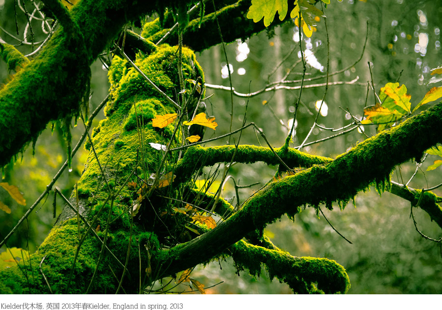 /wp-content/uploads/2013/10/_c_kK3QSBsrU5dZksru-HnkNaT0f8Z6fH_kqE4phDEN_2uL_7v1Rk-Fn99Lo-HNUIhuxEIiSUxOARfA5CfIJO7nHt8nw2w5wDX5.jpg